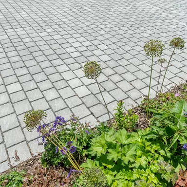 FRIEDA<sup>®</sup> DRAIN Ökosteine Kanten gebrochen