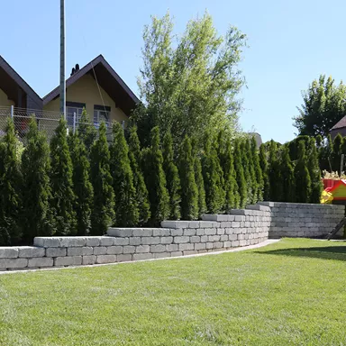 CUATRO Keilmauersteine