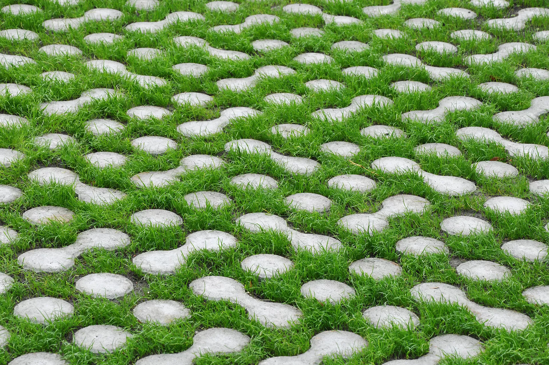 LUNIX Rasengitterstein grau glatt L 53.2 cm 39.9 cm H 12 cm