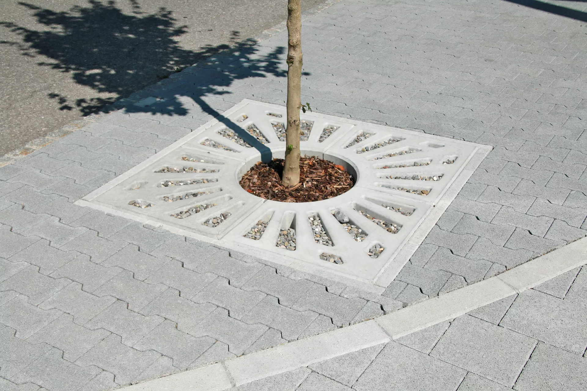 COMO Baumscheibe grau glatt gefast bewehrt geschlitzt mit Aussparung R 28 cm L 62.5 cm B 62.5 cm H 8 cm BK A 15