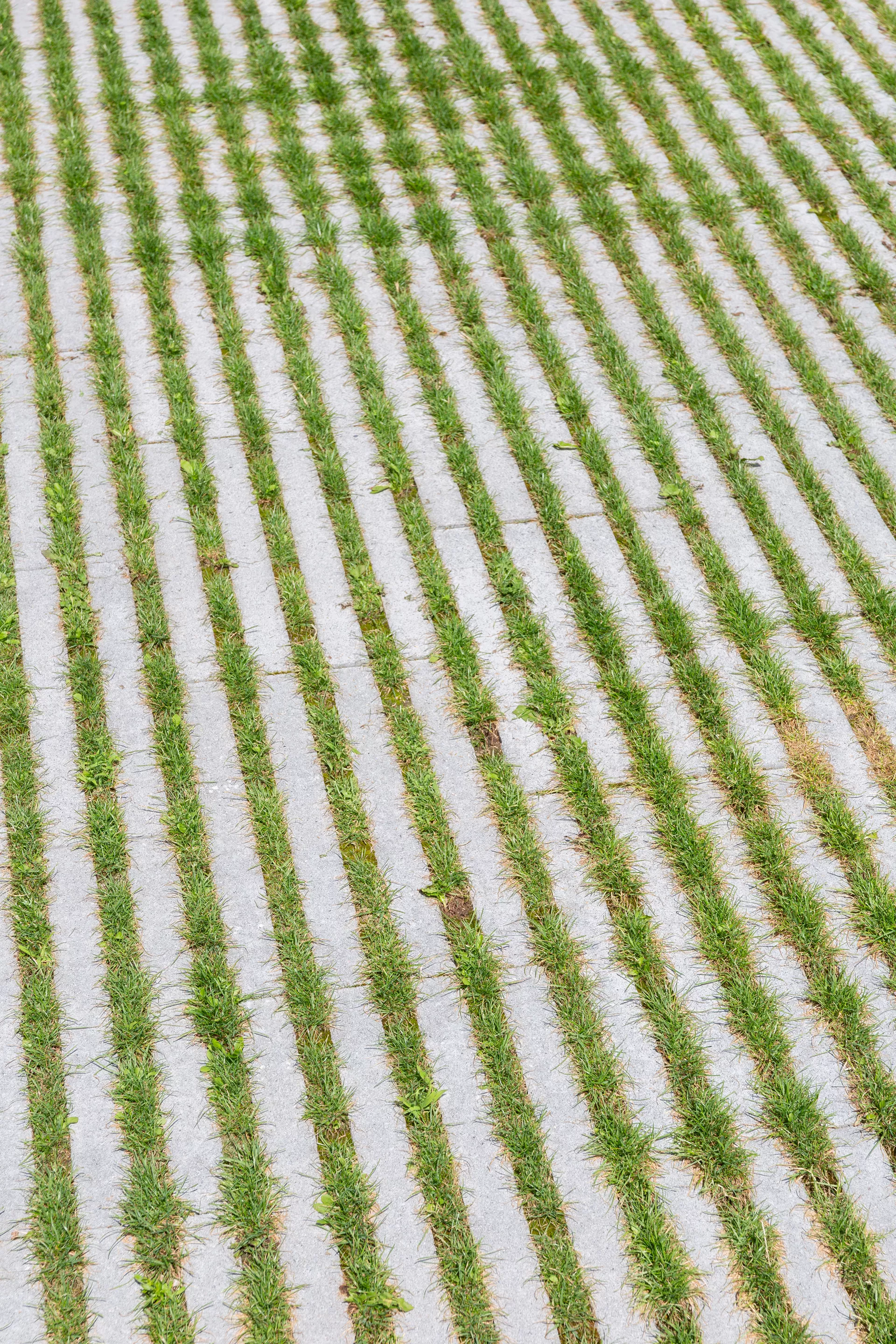 RAINA Rasenliner mit Verschiebesicherung grau glatt L 60 cm B 40 cm H 10 cm