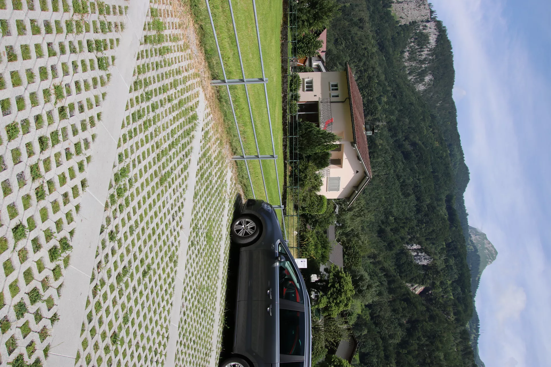 GRISON Rasengitterstein mit Nocken grau glatt L 60.2 cm B 40.2 cm H 8 cm