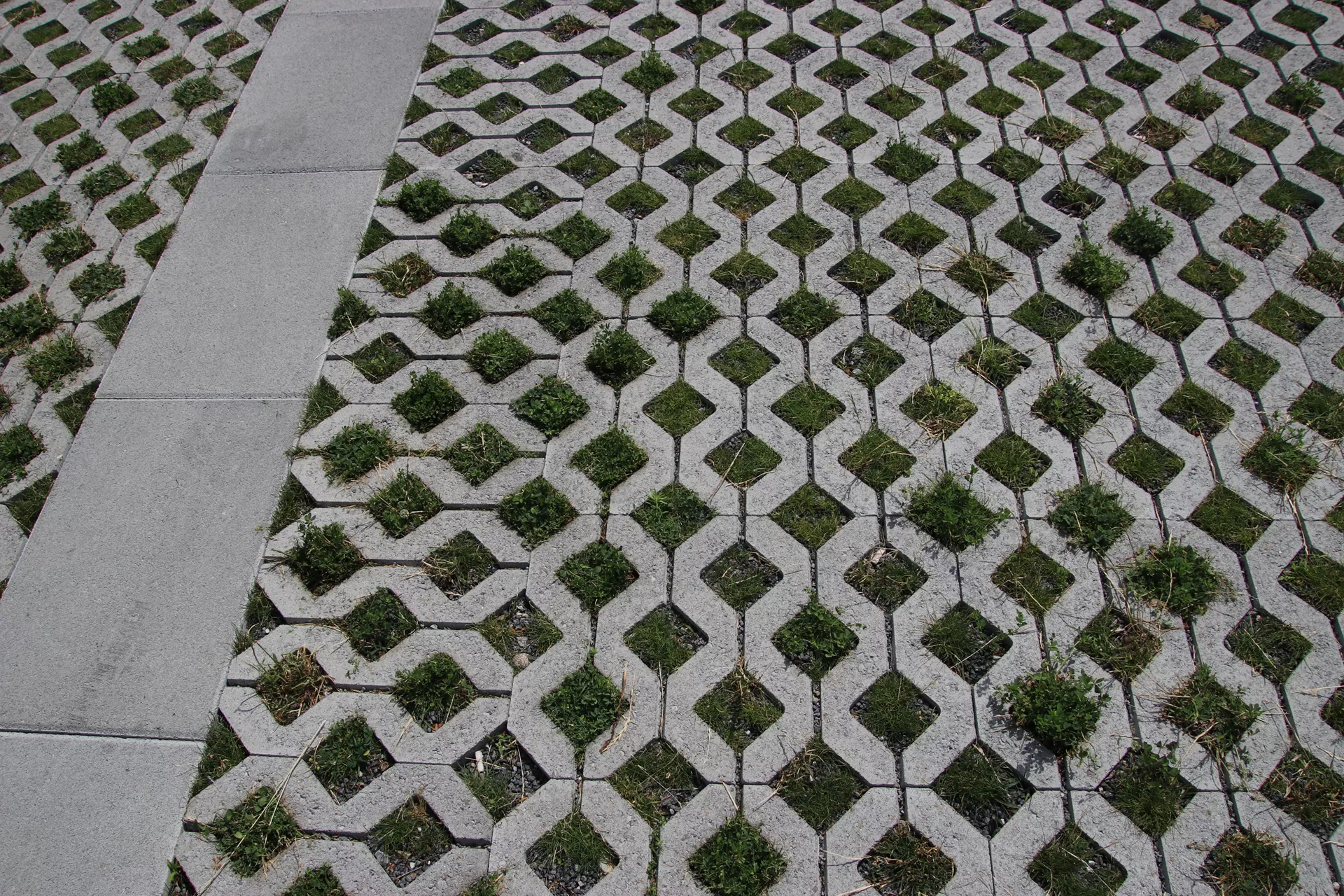 GRISON Rasengitterstein mit Nocken grau glatt L 60.2 cm B 40.2 cm H 8 cm