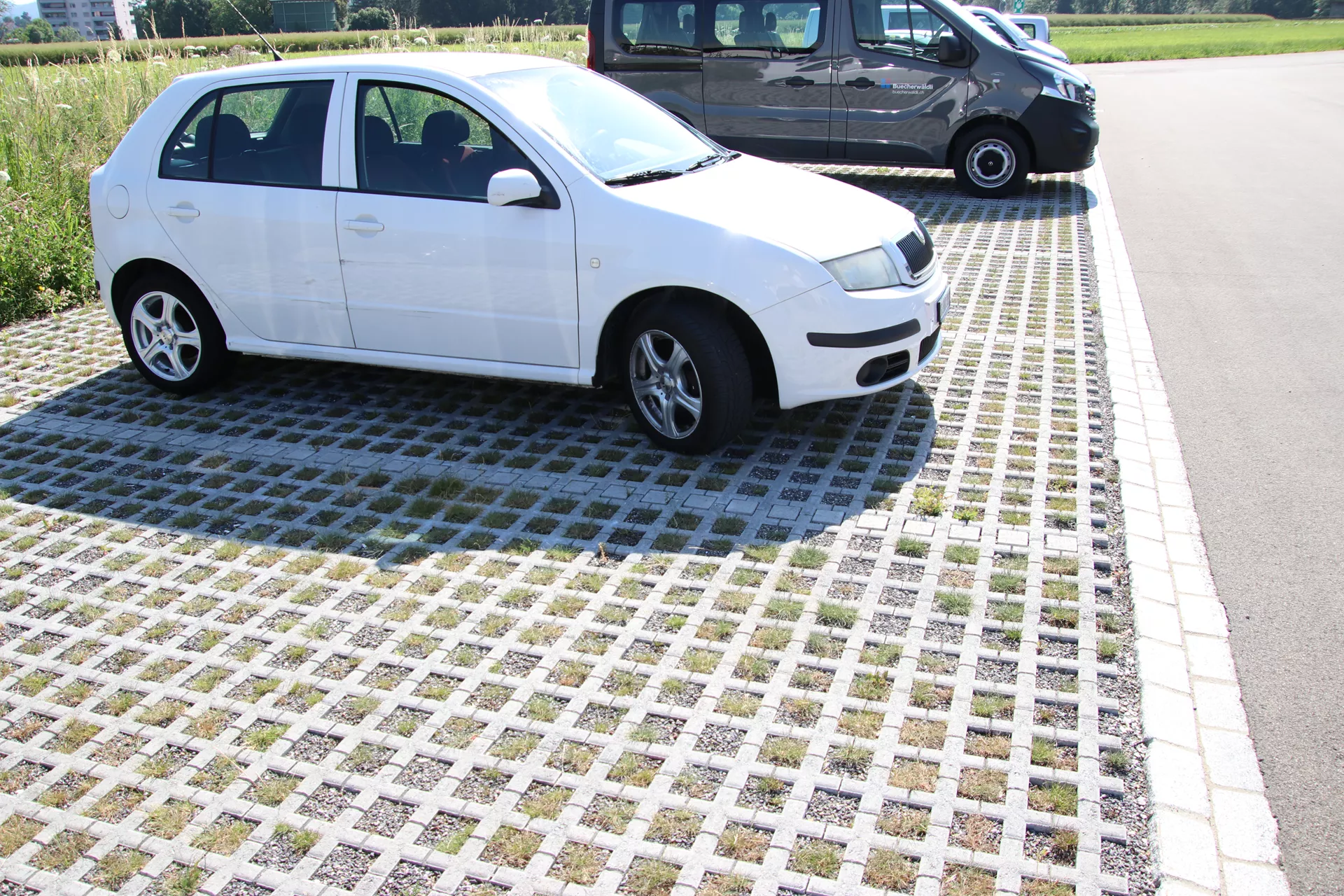 QUADRO Rasengitterstein grau L 58 cm B 47 cm H 10 cm