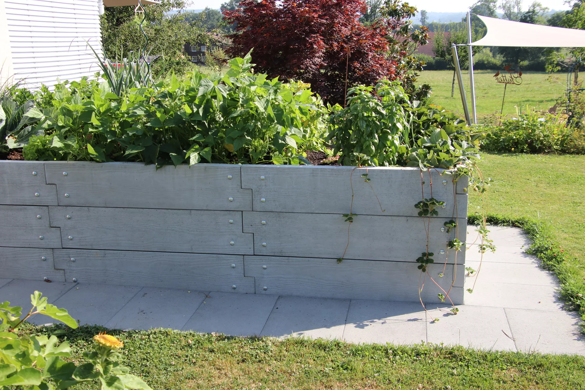 Einzelbrett zu Hochbeet mit Holzstruktur naturgrau strukturiert leicht gefast bewehrt L 120 cm H 25 cm W 6 cm