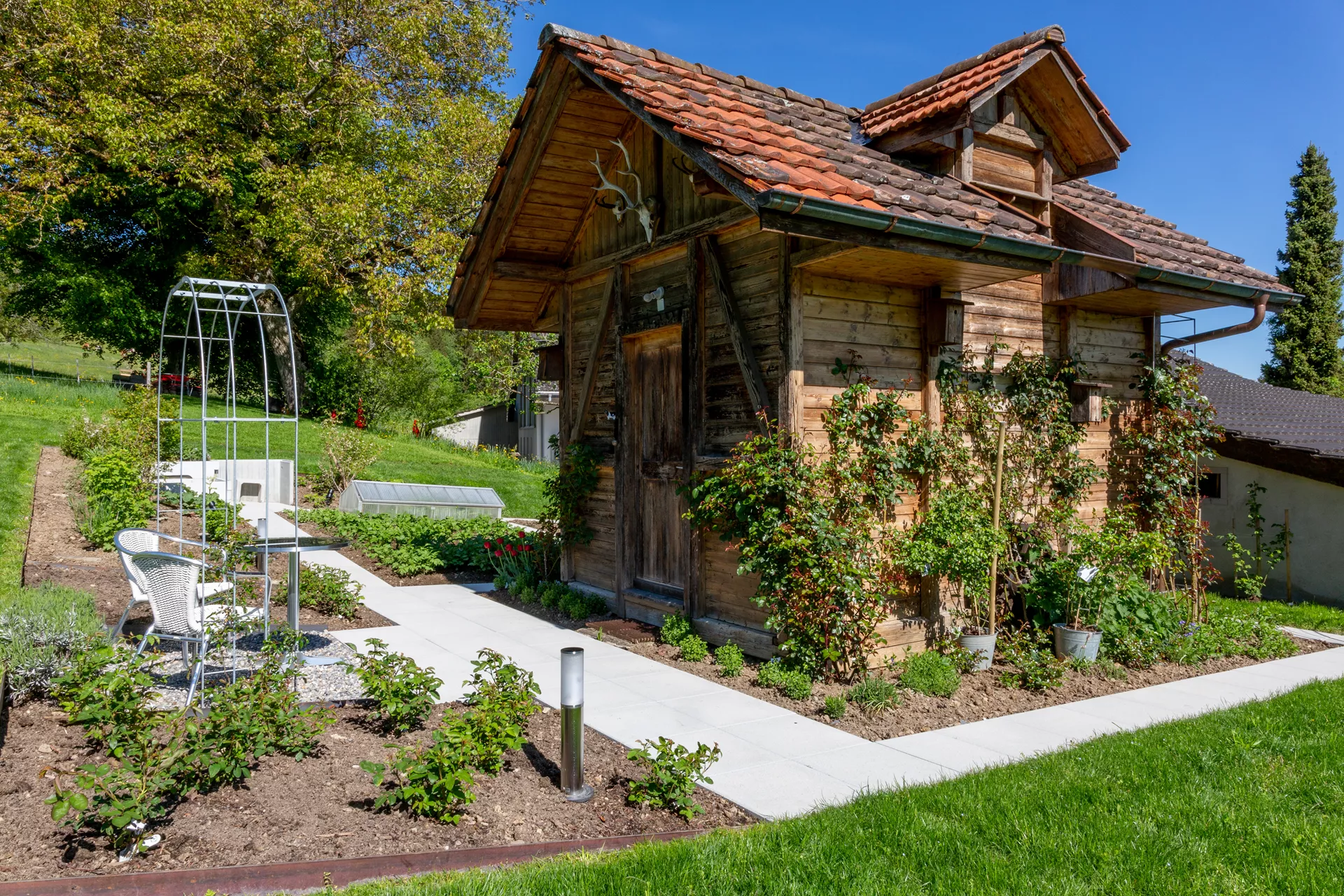 PARCO FINA Gartenplatte grau gestrahlt gefast L 50 cm B 50 cm H 4 cm