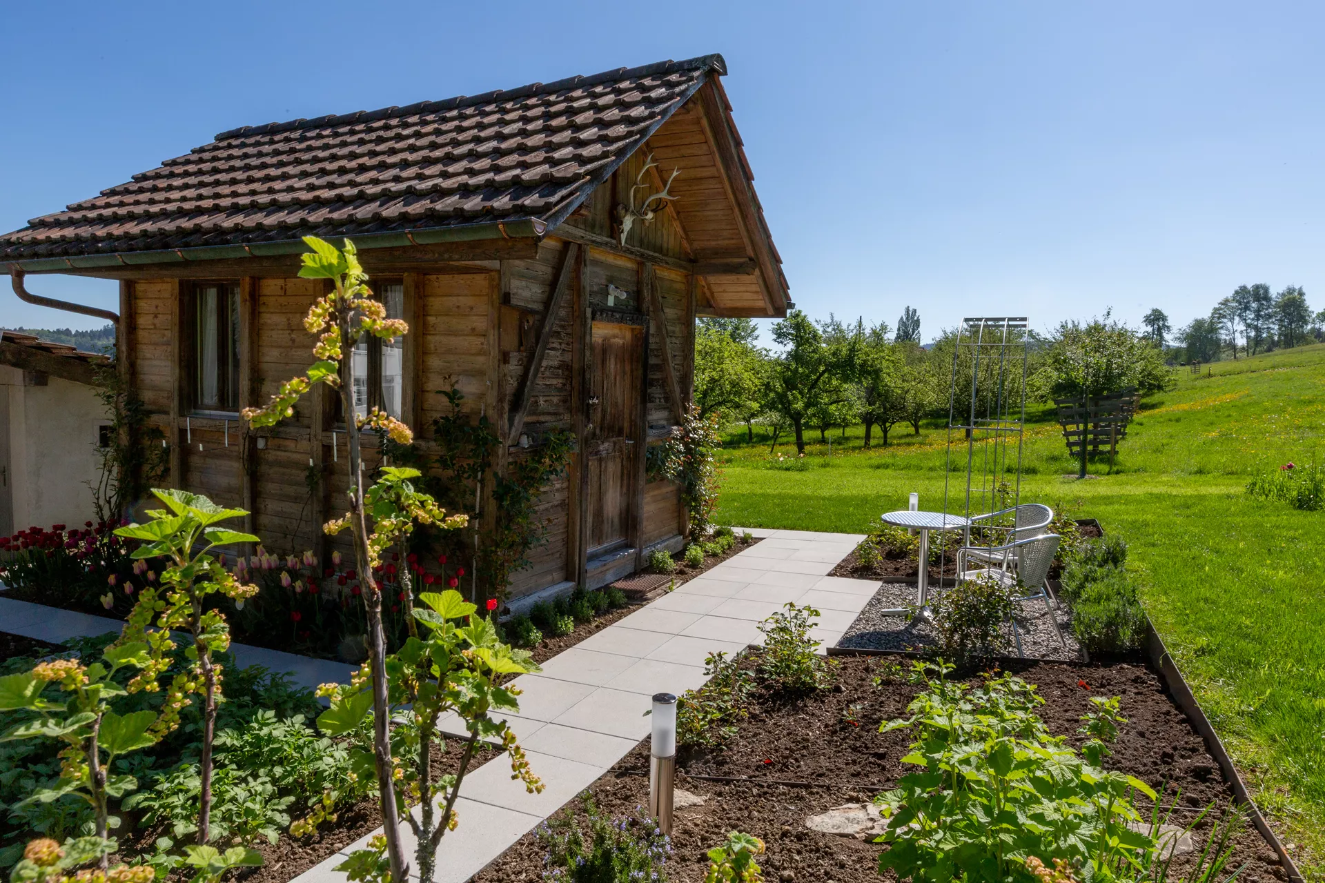 PARCO FINA Gartenplatte grau gestrahlt gefast L 50 cm B 50 cm H 4 cm