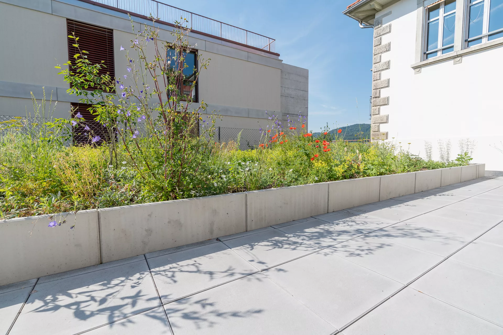 ROZTEC Winkelplatten Typ Midi bewehrt grau glatt gefast L 200 cm B 75 cm H 125 cm W 9-18 cm