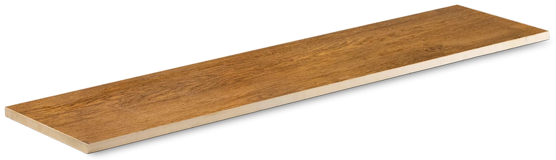 Feinsteinzeug Gehwegplatte EVOKE Sand strukturiert vollkantig L 120 cm B 30 cm H 2 cm