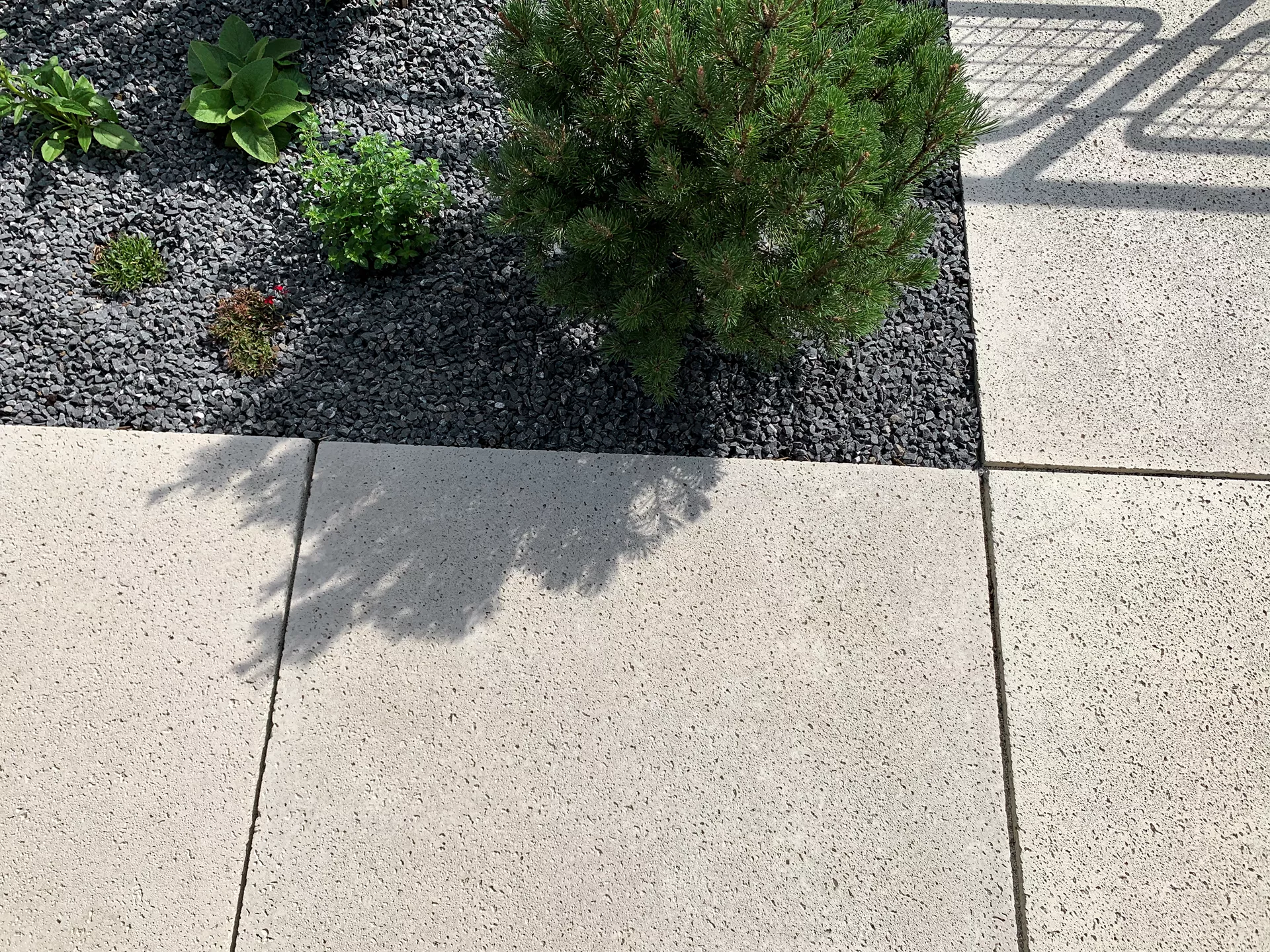 TRAVINA Gehwegplatte ahornweiss strukturiert vollkantig L 99.5 cm B 99.5 cm H 5 cm