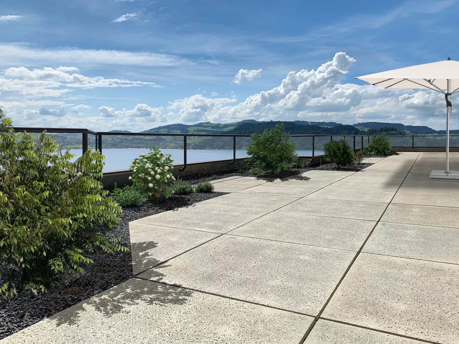 TRAVINA Gehwegplatte ahornweiss strukturiert vollkantig L 99.5 cm B 99.5 cm H 5 cm