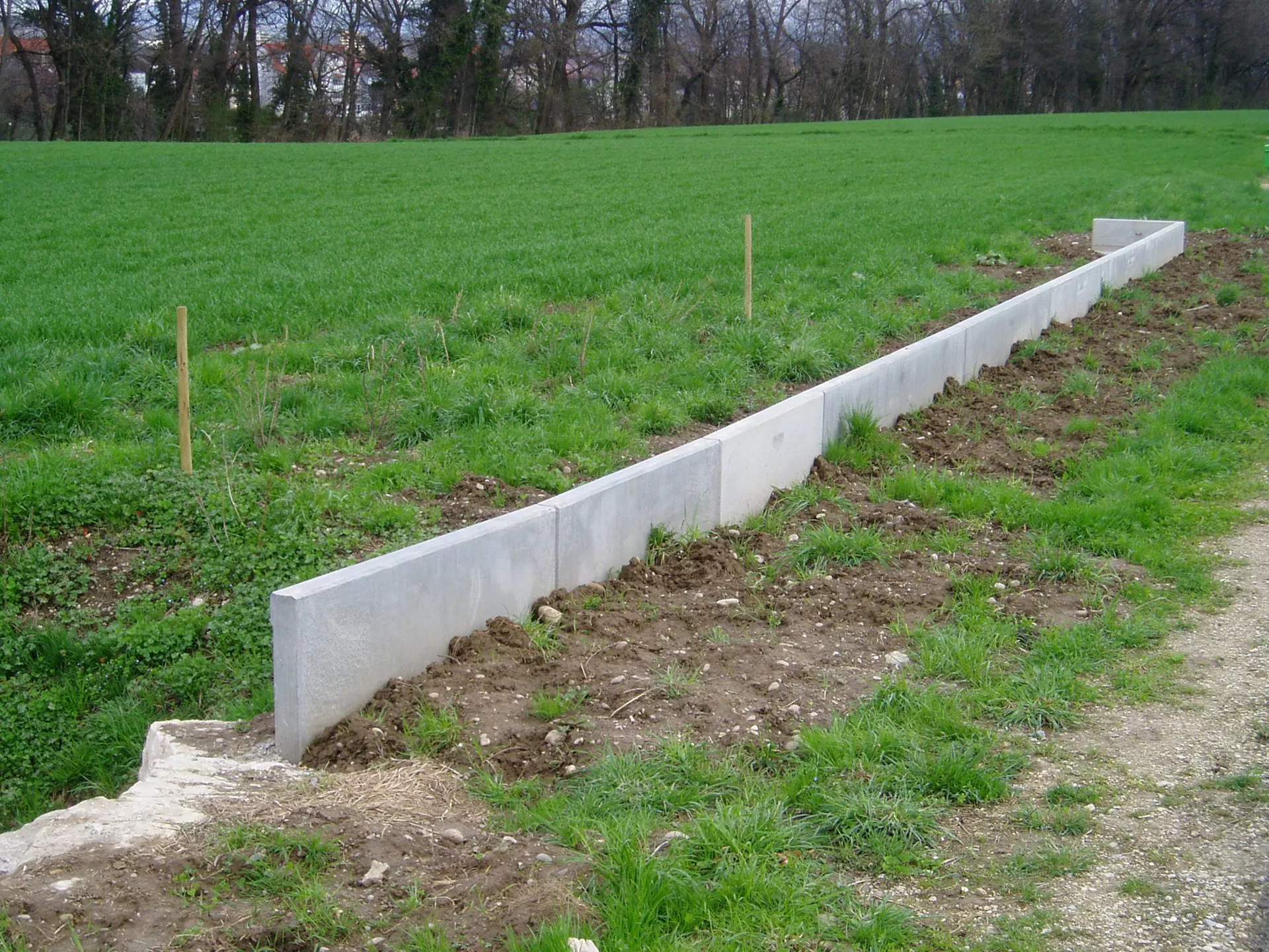 Amphibienleitsystemelement mit Klettersperre und Elementverbund bewehrt gefast grau L 300 cm B 50 cm H 55 cm W 8 cm