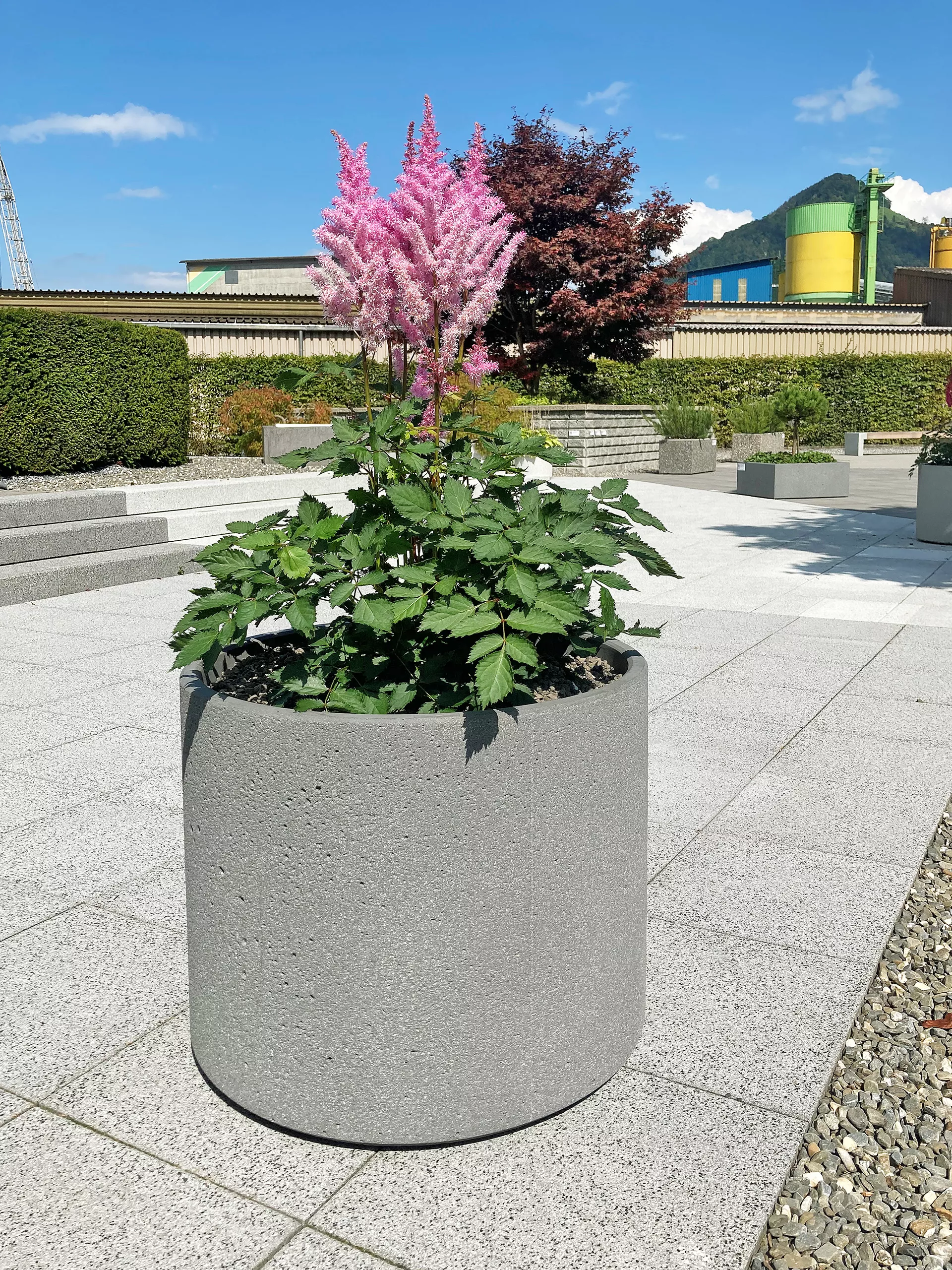 PARCO Pflanzentrog rund anthrazit glatt OD 50 cm H 40 cm W 4 cm R 25 cm