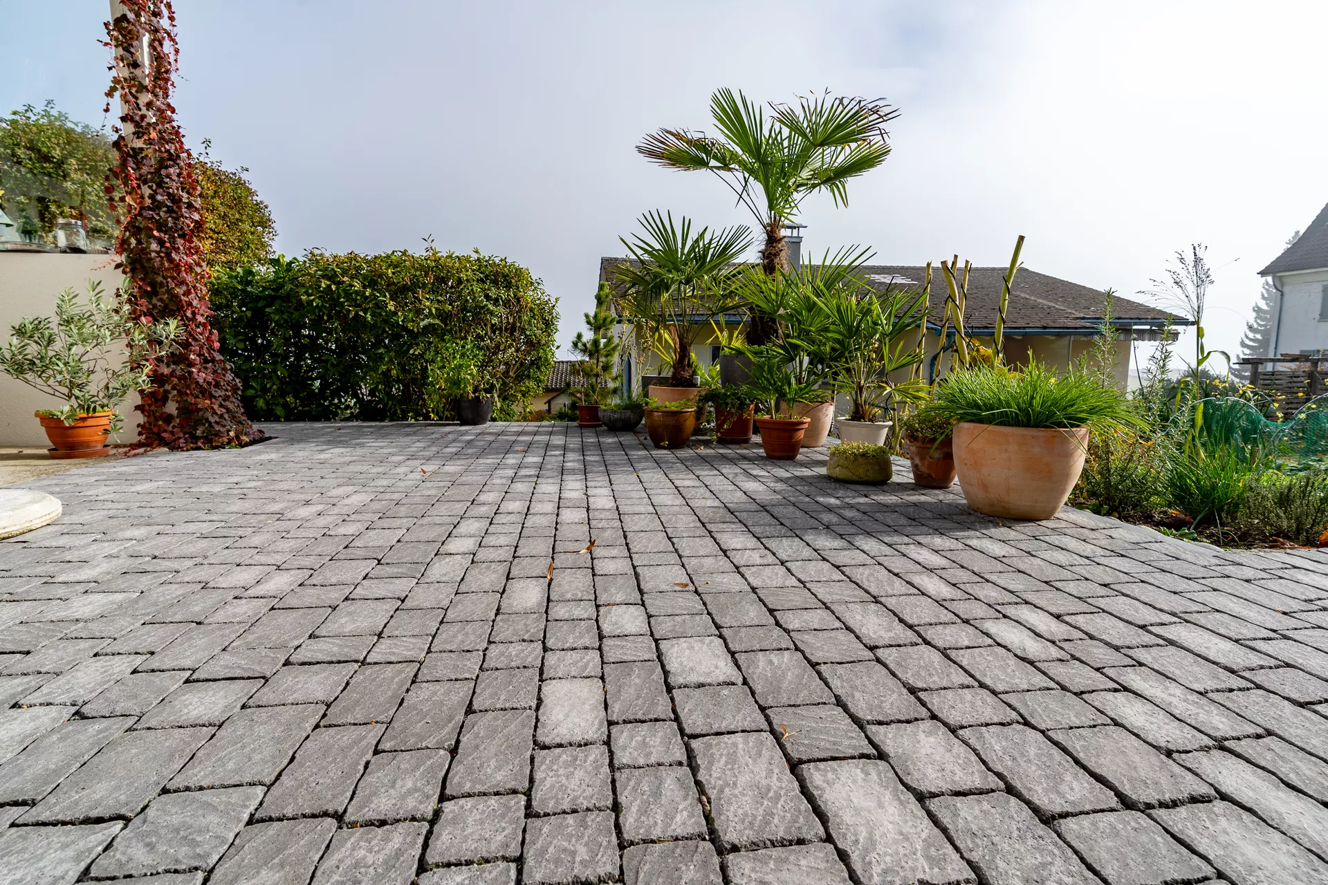 Pavé sauvage FRIEDA 7 cm, structuré arêtes cassées, gris perle