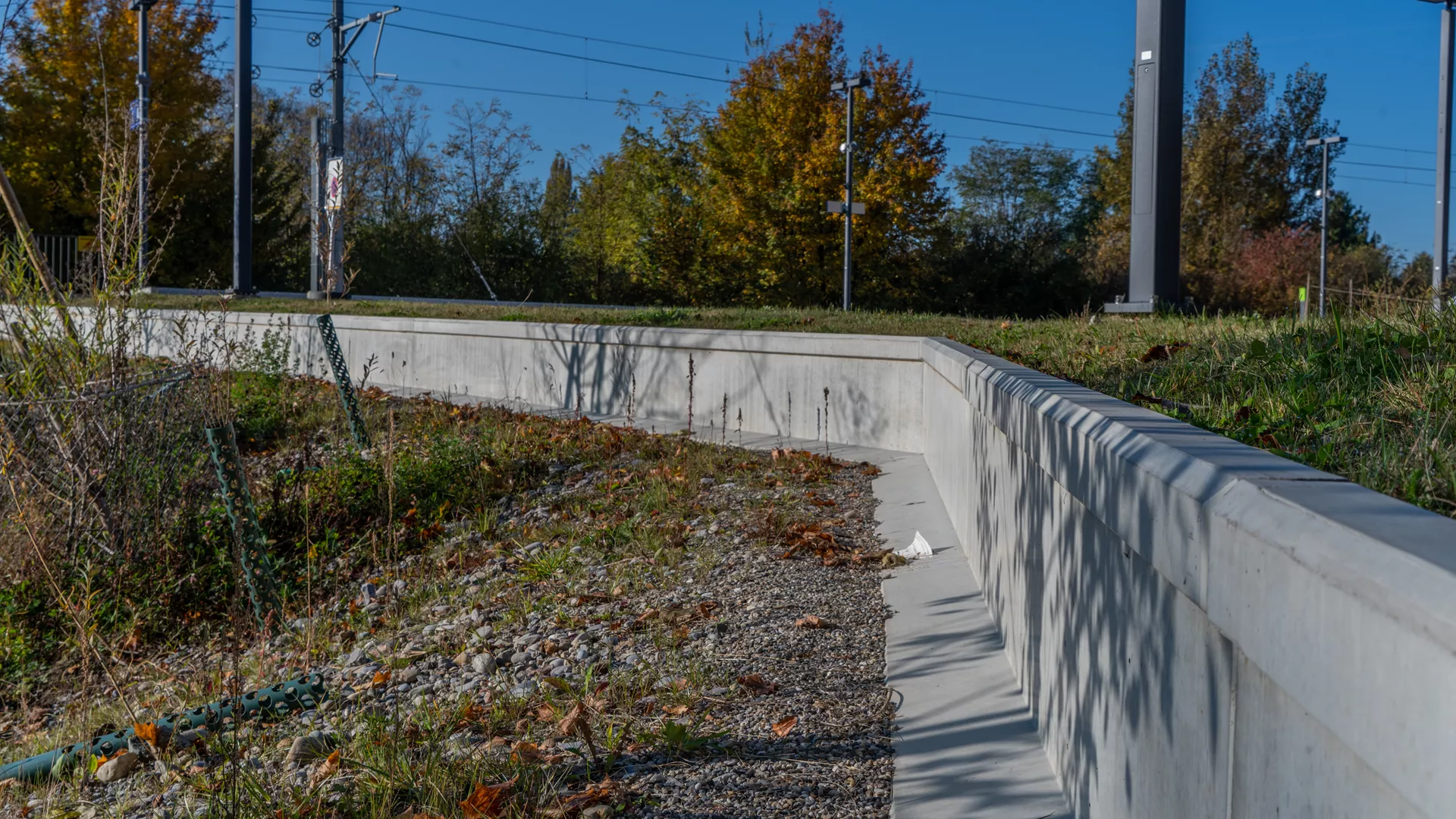 Amphibienleitsystemelement mit Klettersperre und Elementverbund bewehrt gefast grau L 300 cm B 50 cm H 55 cm W 8 cm