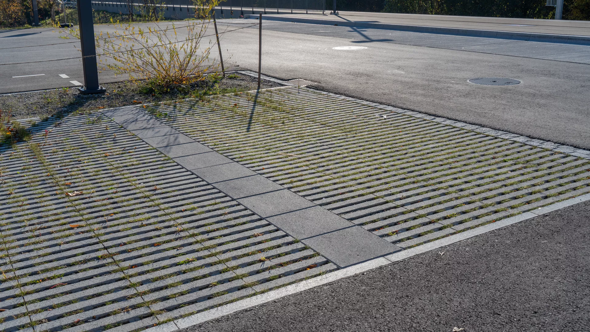 RAINA Rasenliner mit Verschiebesicherung grau glatt L 60 cm B 40 cm H 10 cm