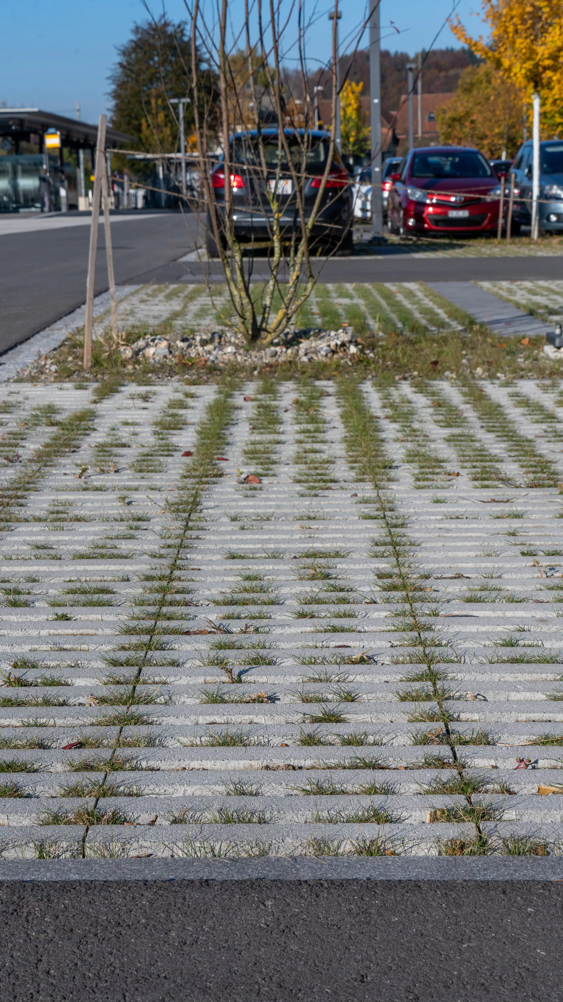 RAINA Rasenliner mit Verschiebesicherung grau glatt L 60 cm B 40 cm H 10 cm