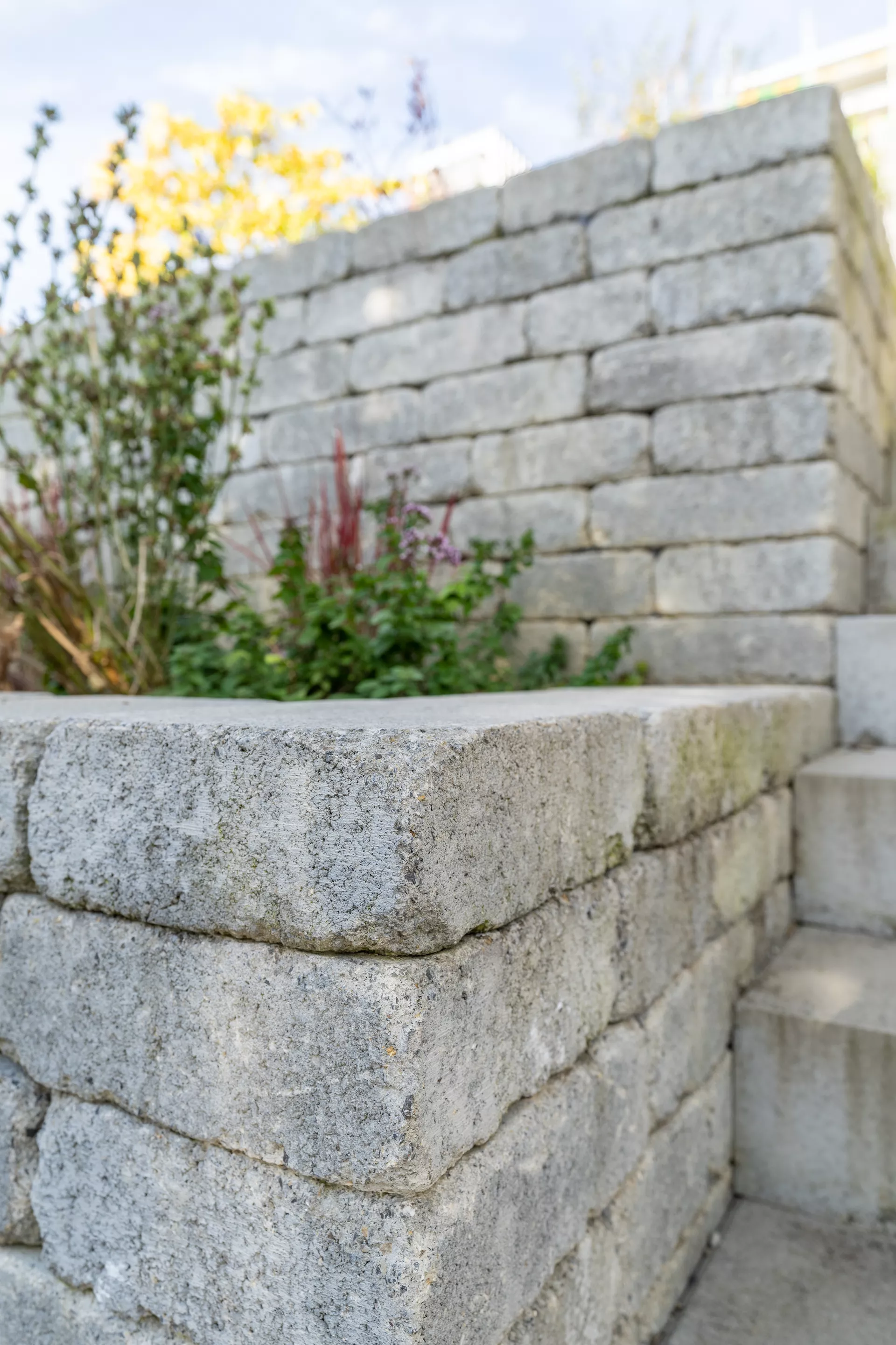 CUATRO Mauersteine Kanten gebrochen naturgrau L 20-35 cm B 25 cm H 15 cm