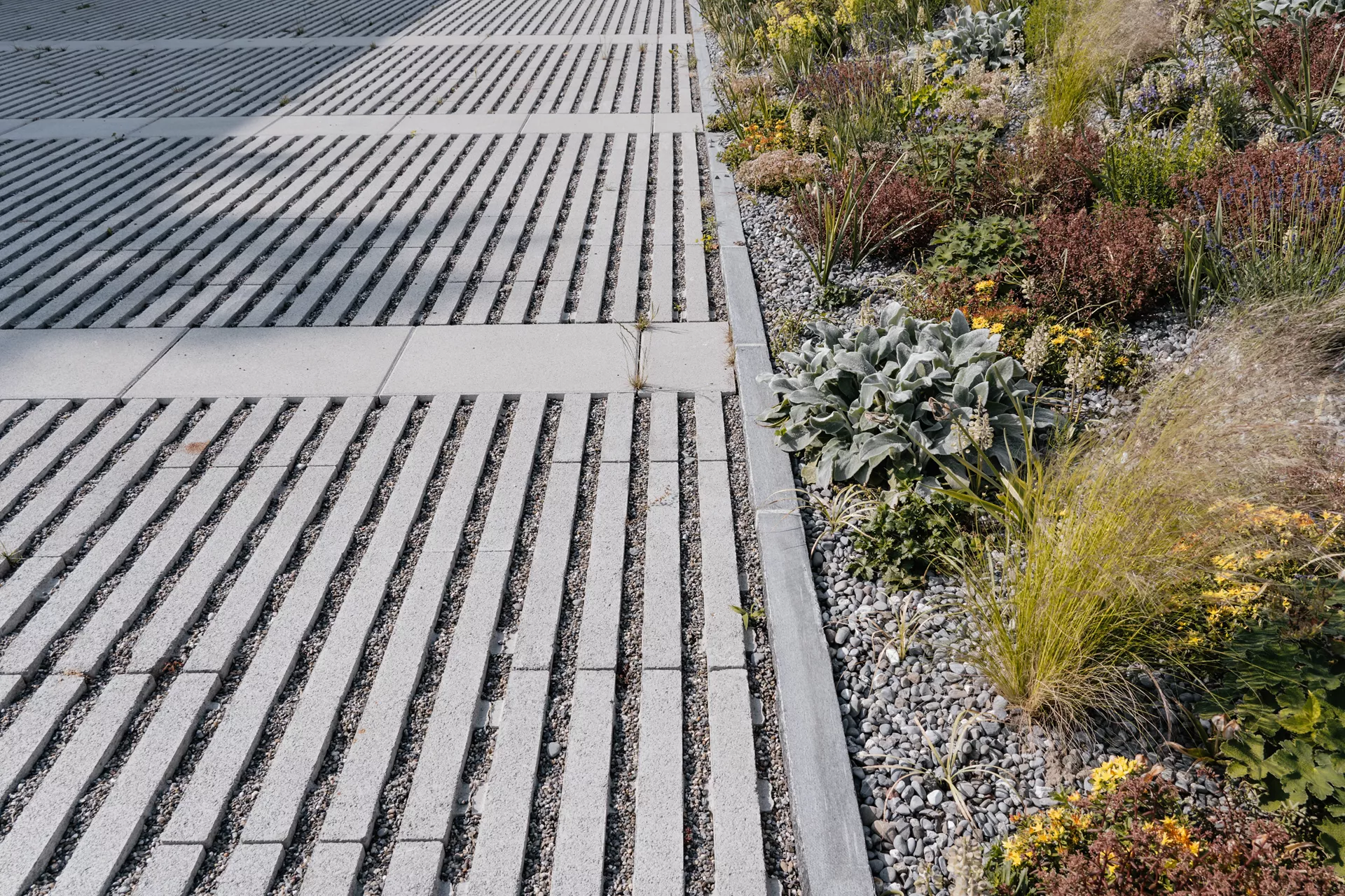 RAINA Rasenliner mit Verschiebesicherung grau glatt L 60 cm B 40 cm H 10 cm