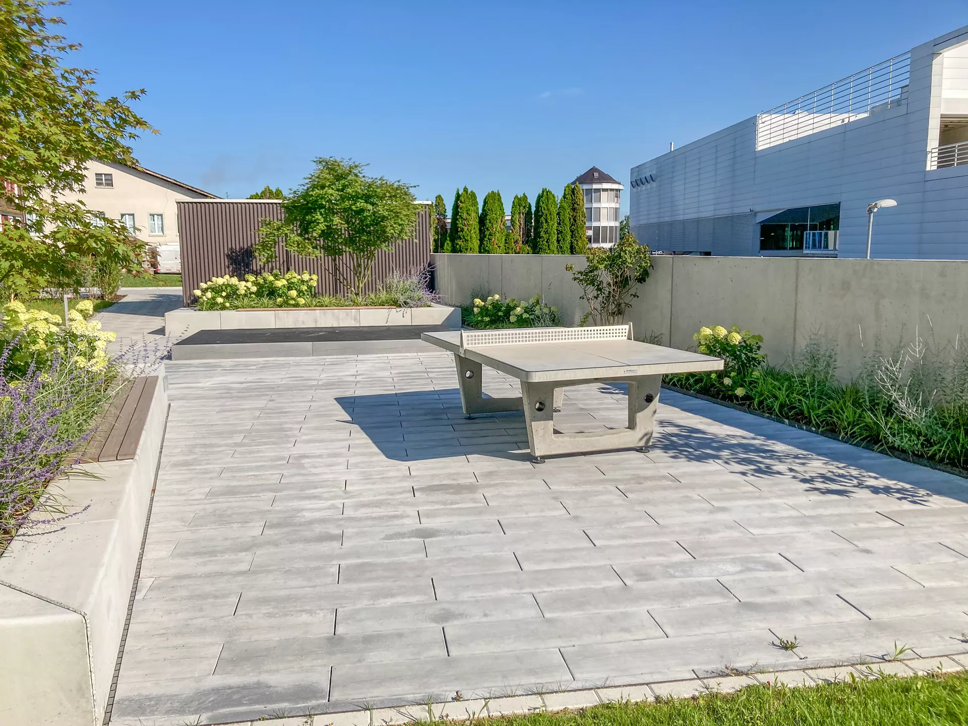 LENIA Gartenplatte mit Holzstruktur Normalplatte naturgrau strukturiert gerundet L 88-89 cm B 24.5-25.5 cm H 5 cm