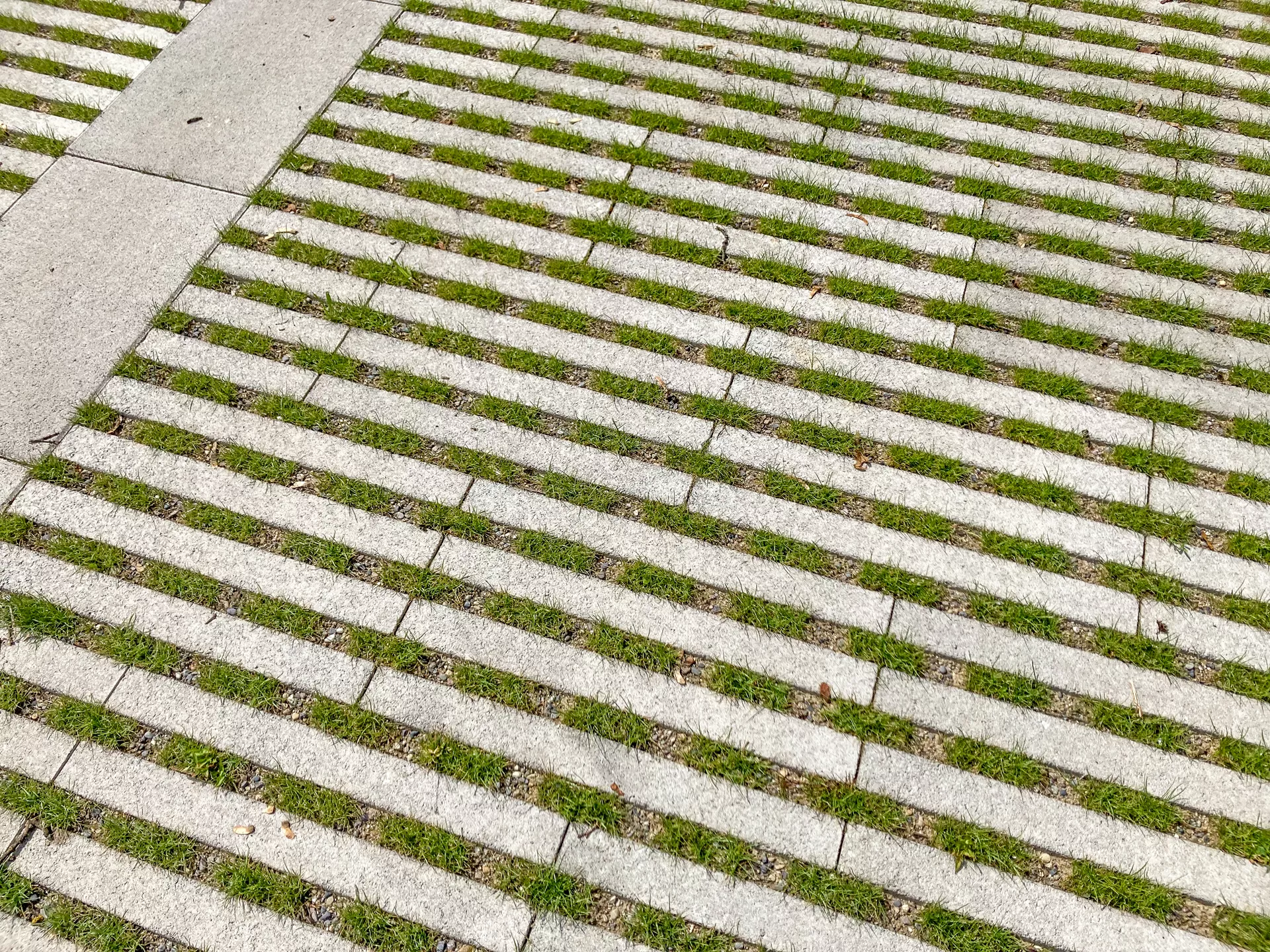 RAINA Rasenliner mit Verschiebesicherung grau glatt L 60 cm B 40 cm H 10 cm