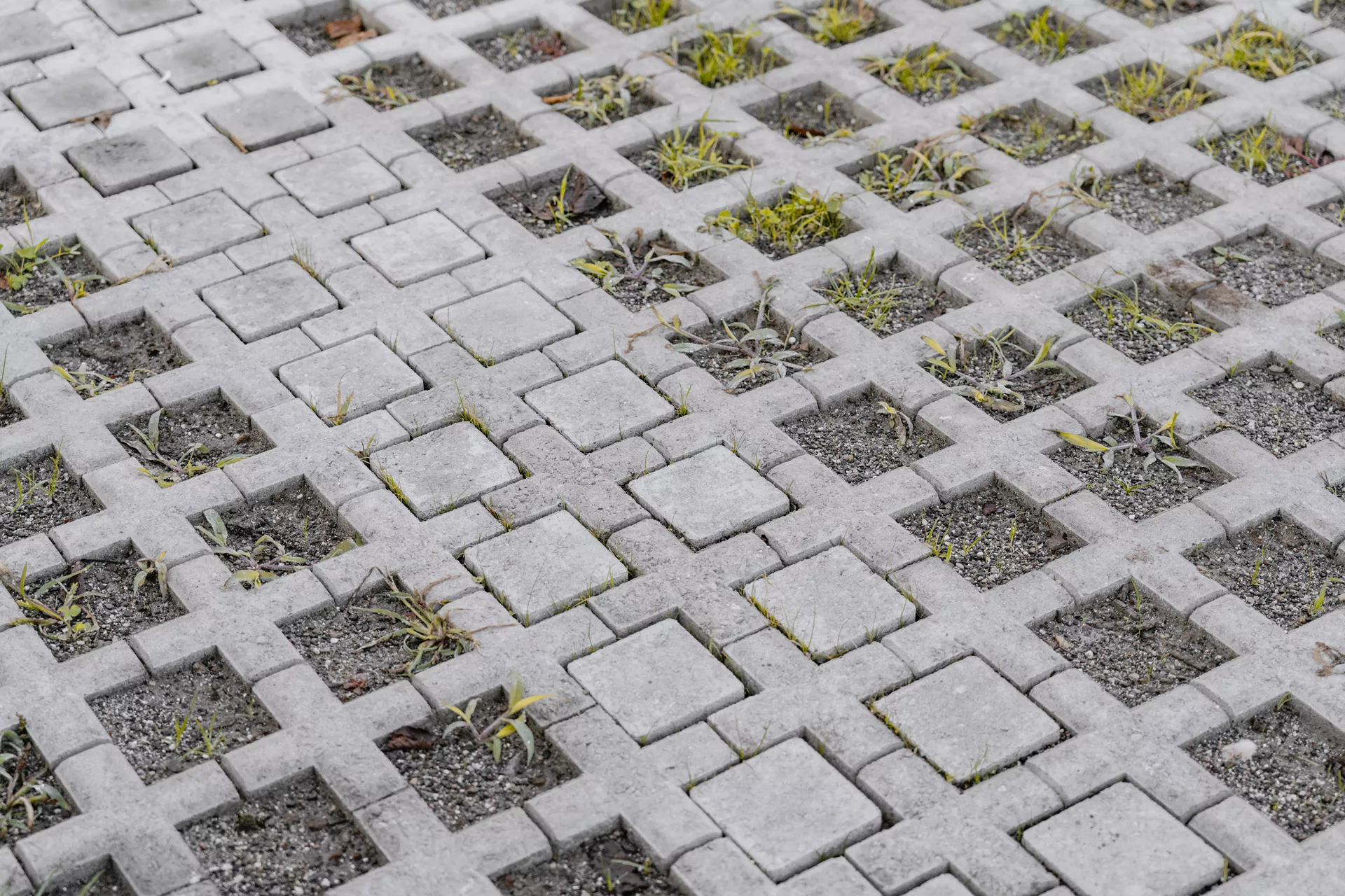 QUADRO Rasengitterstein grau L 58 cm B 47 cm H 10 cm