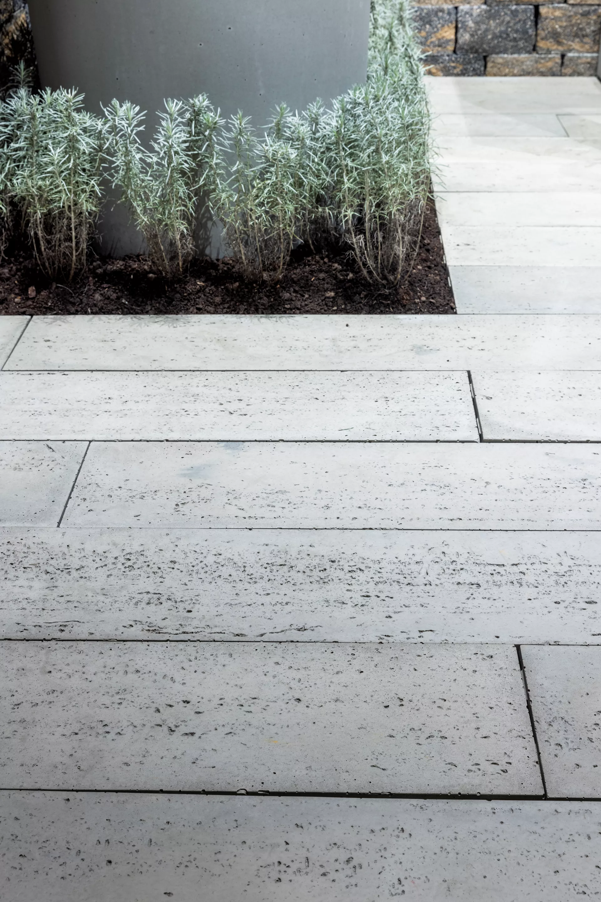 LENIA Gartenplatte mit Holzstruktur Normalplatte naturgrau strukturiert gerundet L 88-89 cm B 24.5-25.5 cm H 5 cm