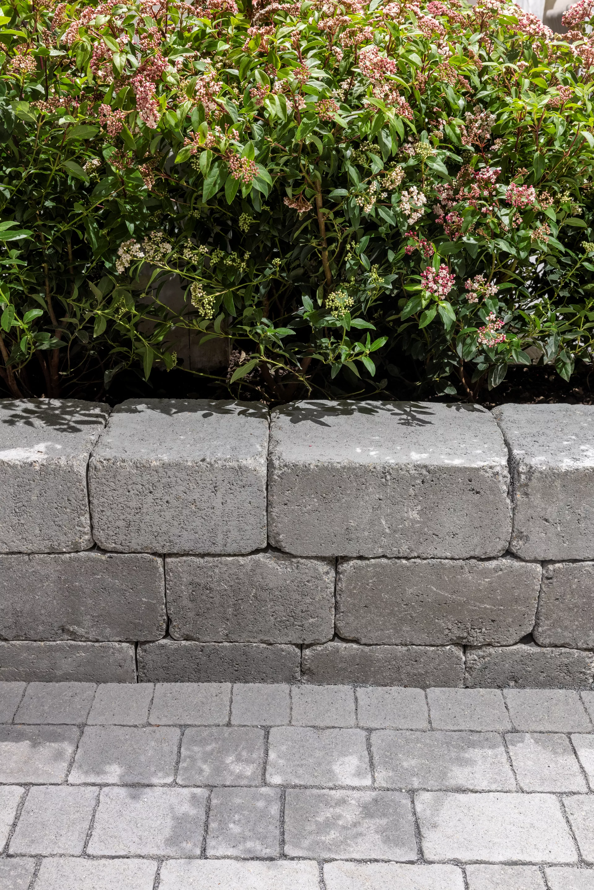 CUATRO Mauersteine Kanten gebrochen naturgrau L 20-35 cm B 25 cm H 15 cm