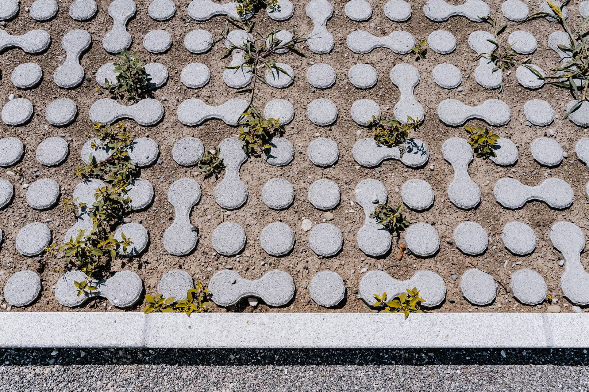 LUNIX Rasengitterstein grau glatt L 53.2 cm 39.9 cm H 12 cm