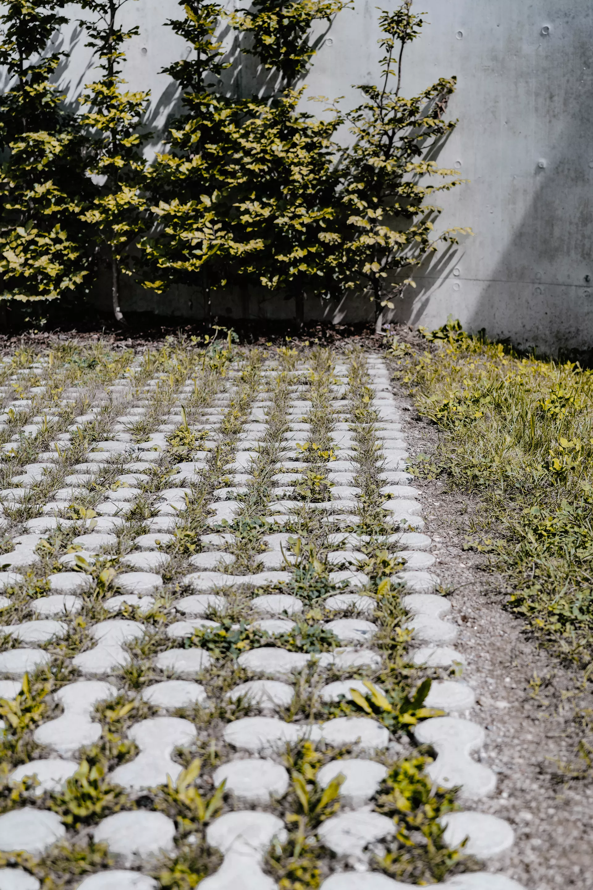 LUNIX Rasengitterstein grau glatt L 53.2 cm 39.9 cm H 12 cm