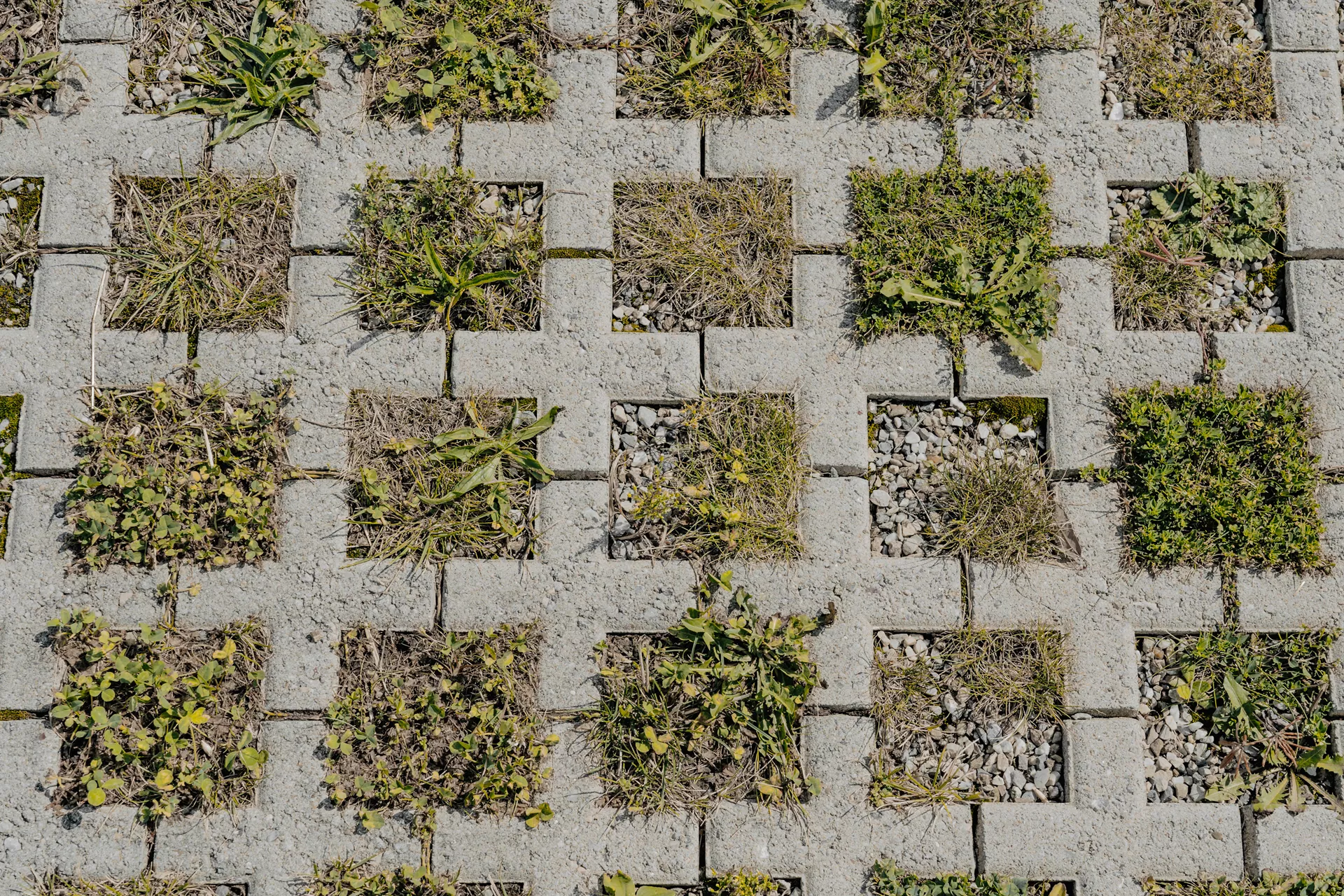 QUADRO Rasengitterstein grau L 58 cm B 47 cm H 10 cm