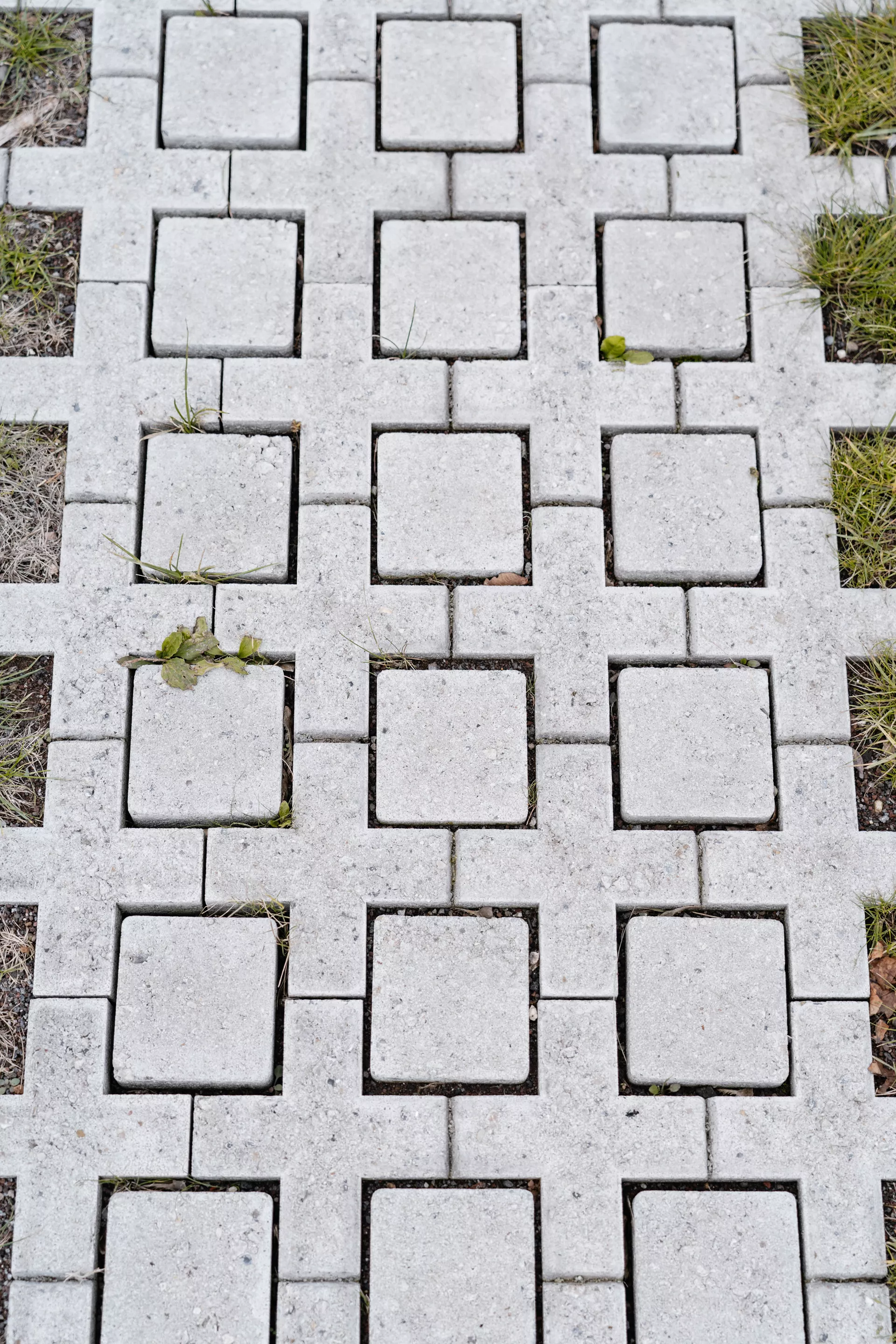 QUADRO Rasengitterstein grau L 58 cm B 47 cm H 10 cm