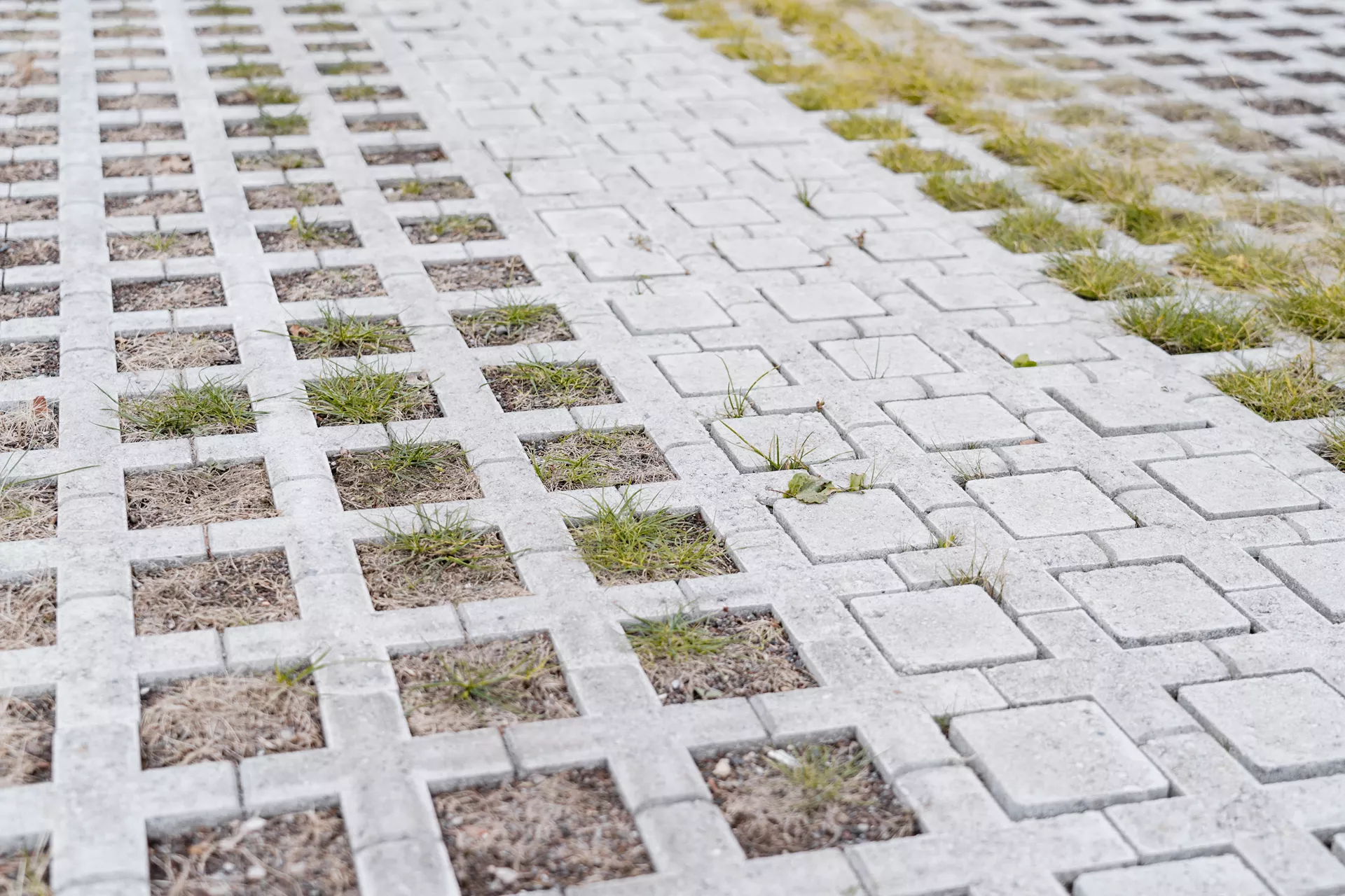 QUADRO Rasengitterstein grau L 58 cm B 47 cm H 10 cm