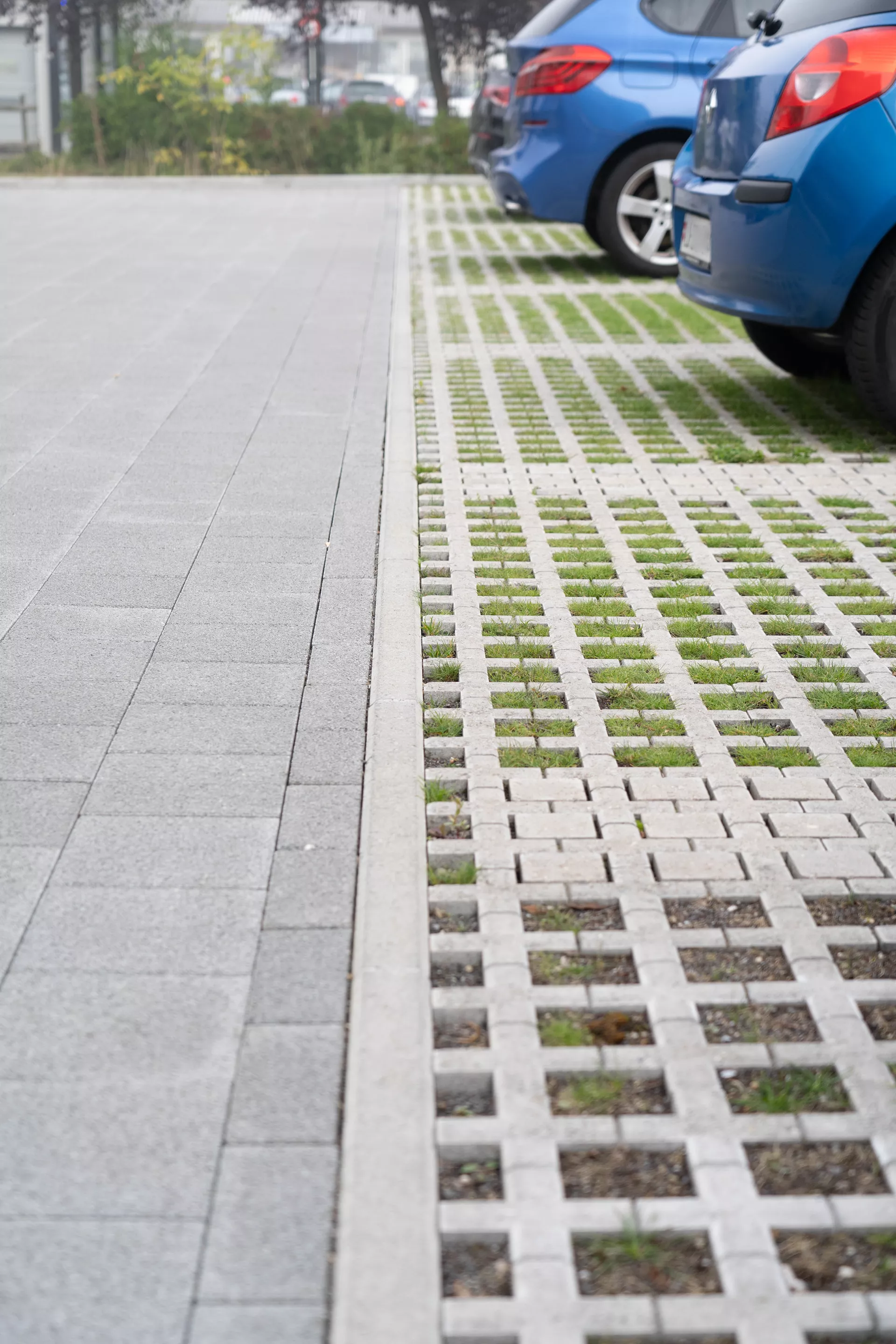 QUADRO Rasengitterstein grau L 58 cm B 47 cm H 10 cm