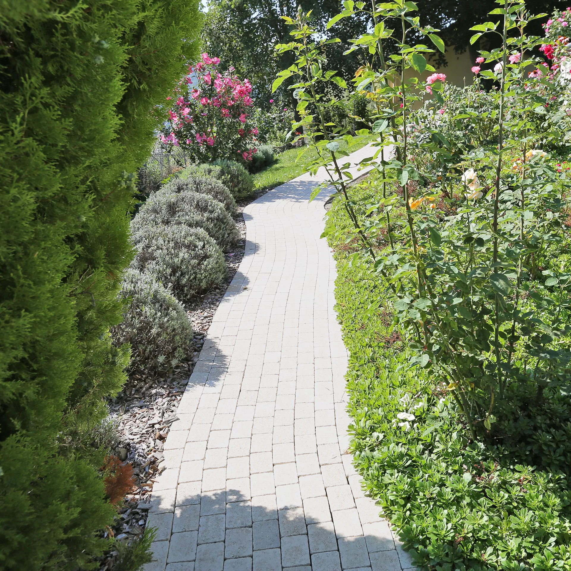 TEGULA<sup>®</sup> Pflastersteine Kanten gebrochen