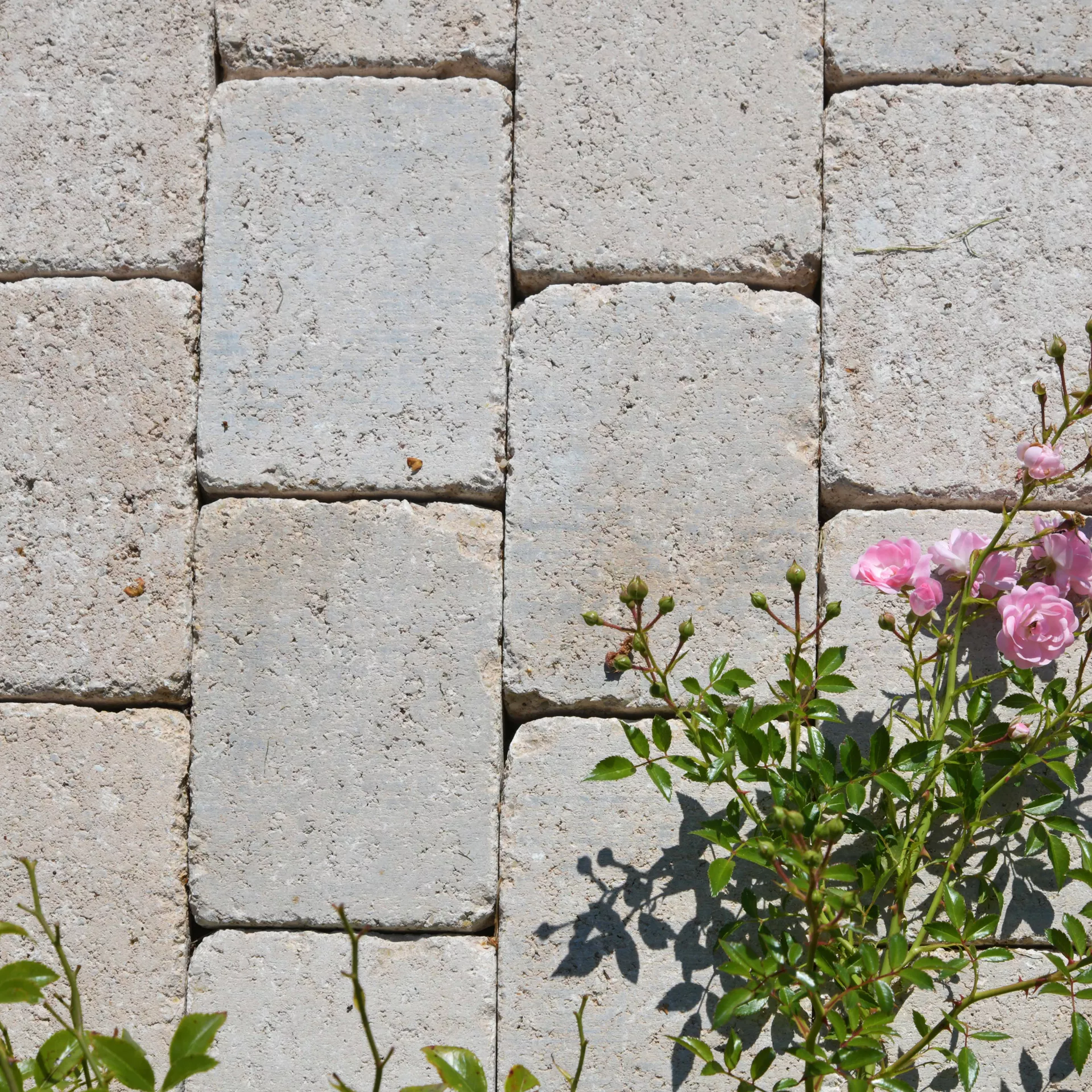 TEGULA<sup>®</sup> Pflastersteine Kanten gebrochen