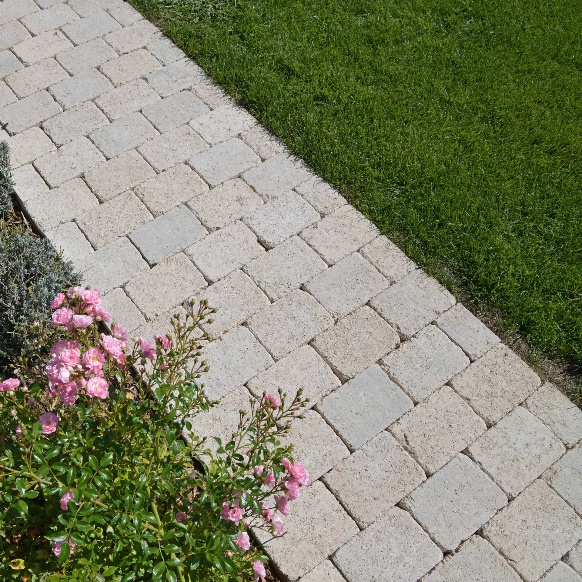 TEGULA<sup>®</sup> Pflastersteine Kanten gebrochen