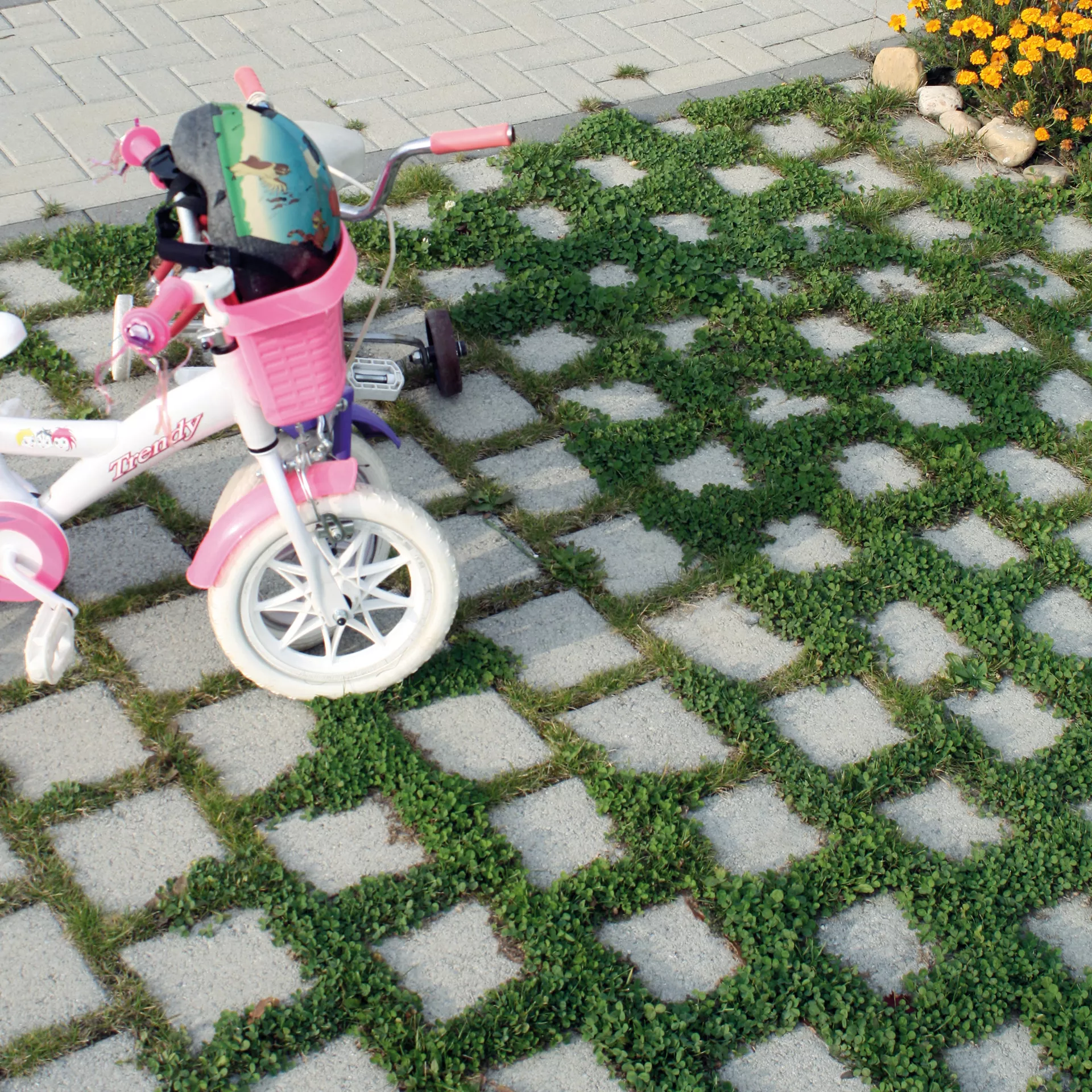 CARENA<sup>®</sup> RASEN Ökosteine gefast