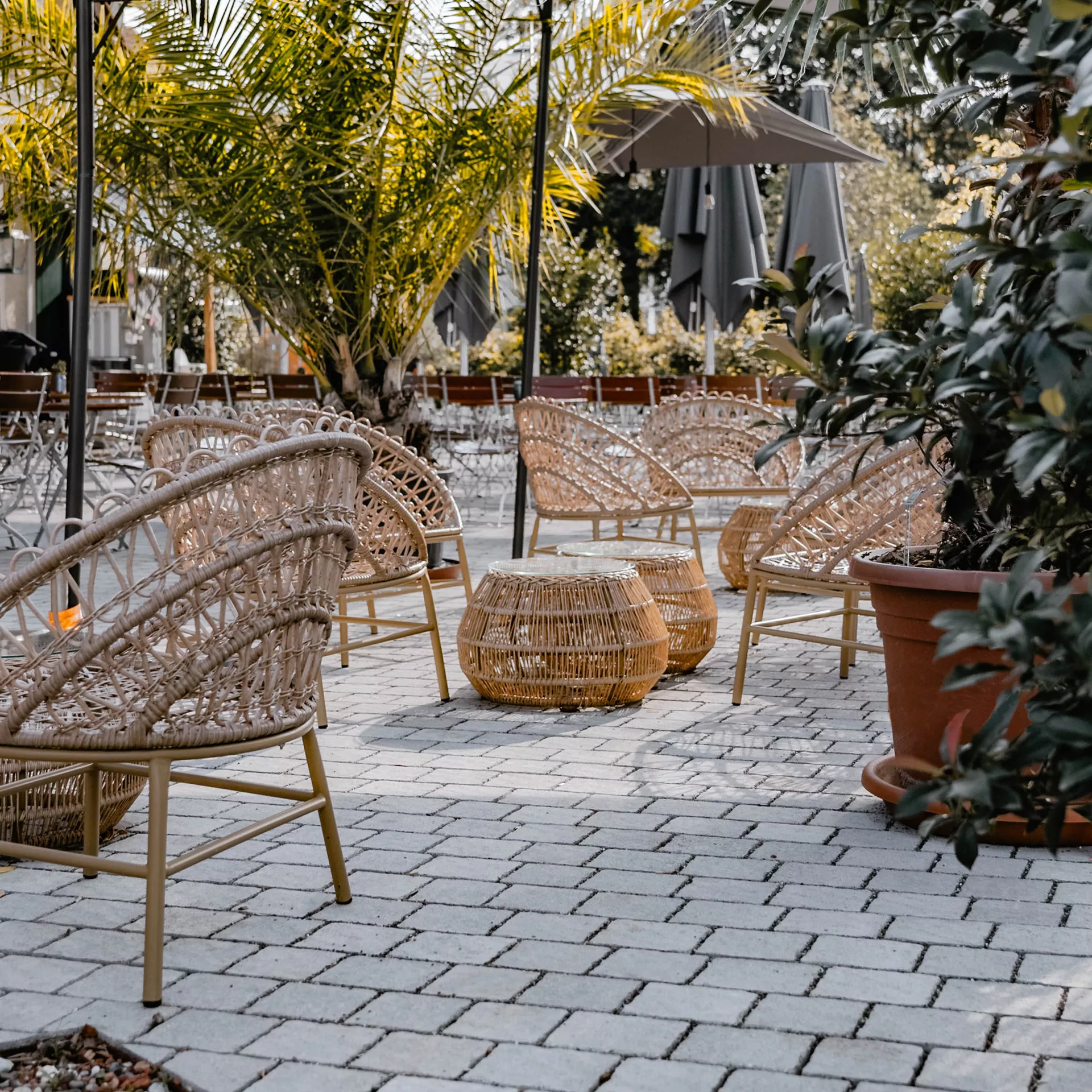 FRIEDA<sup>®</sup> DRAIN Ökosteine Kanten gebrochen