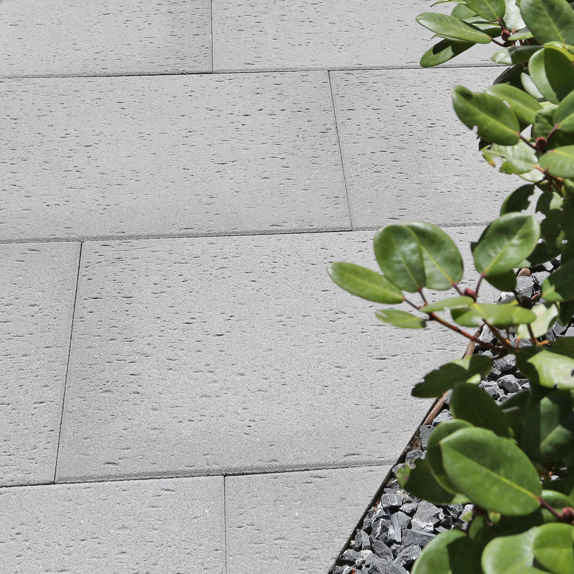 STRUKTURA Gehwegplatten mit Travertinstruktur