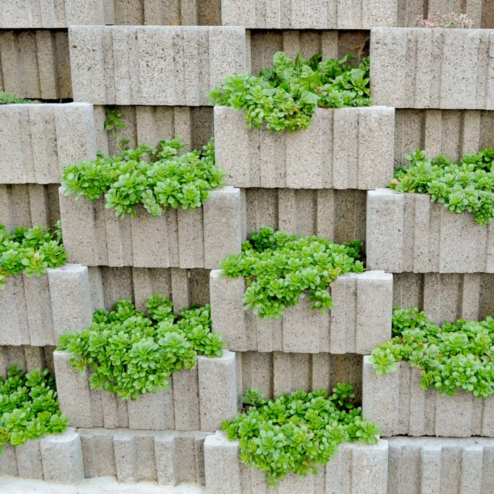 TERUNO<sup>®</sup> Böschungssteine