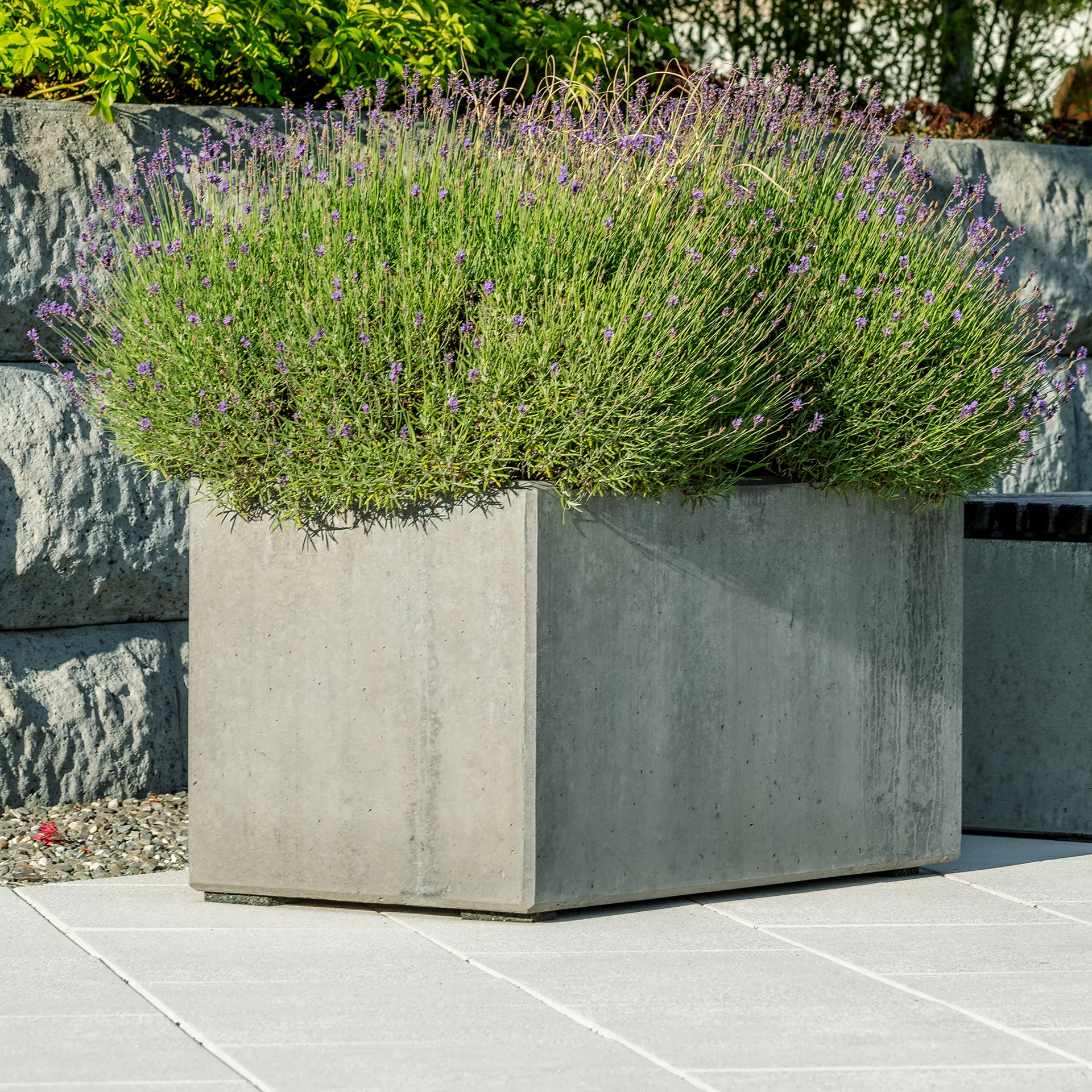 PARCO<sup>®</sup> Pflanzentröge glatt