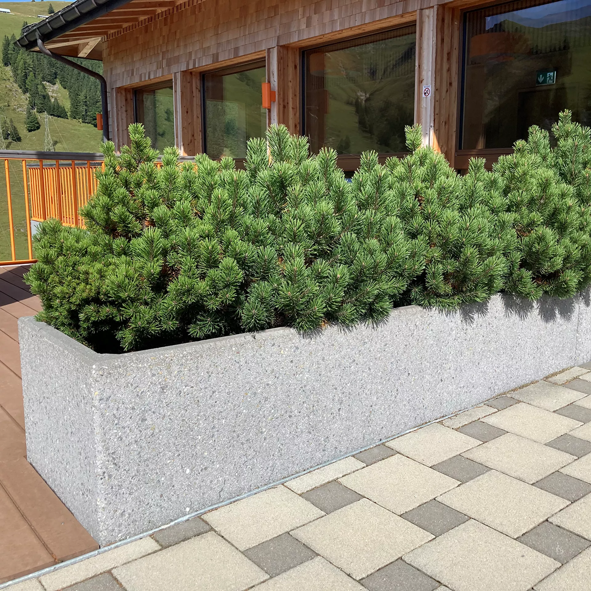 PARCO<sup>®</sup> Pflanzentröge rechteckig gestrahlt