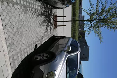 LUNIX Rasengitterstein grau glatt L 53.2 cm 39.9 cm H 12 cm