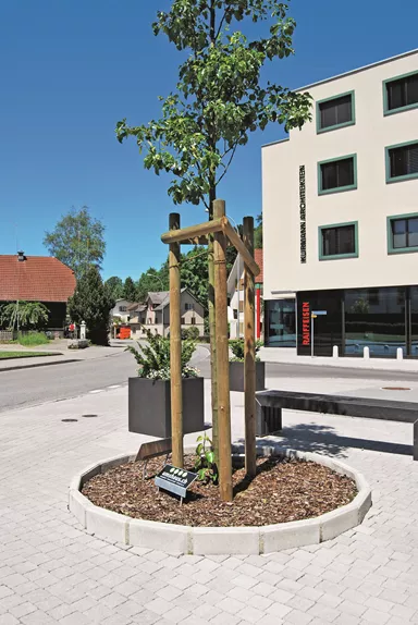 FINALGO Vakuum-Stellplatte grau unbehandelt beidseitig gefast L 100 cm B 6 cm H 25 cm