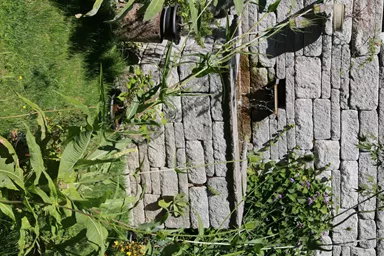 SANTURO Landhausmauer Typ 2 2-seitig gespalten grau Kanten gebrochen L 30-50 cm B 25 cm H 15 cm