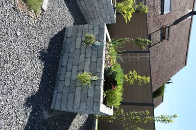 CUATRO Mauersteine Kanten gebrochen naturgrau L 20-35 cm B 25 cm H 15 cm