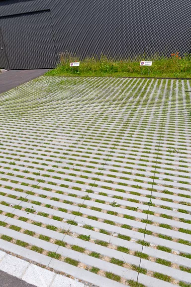 RAINA Rasenliner mit Verschiebesicherung grau glatt L 60 cm B 40 cm H 10 cm