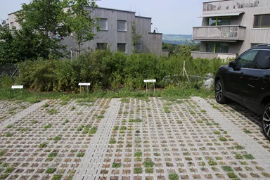 QUADRO Rasengitterstein grau L 58 cm B 47 cm H 10 cm