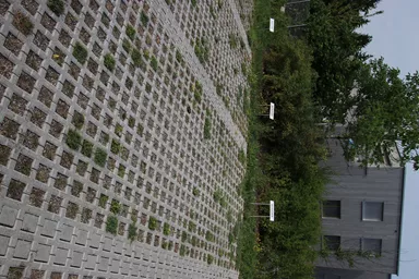 QUADRO Rasengitterstein grau L 58 cm B 47 cm H 10 cm